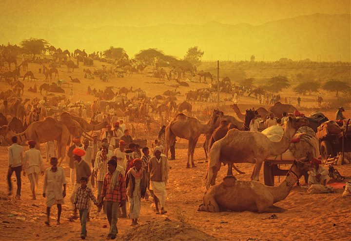 Pushkar Mela